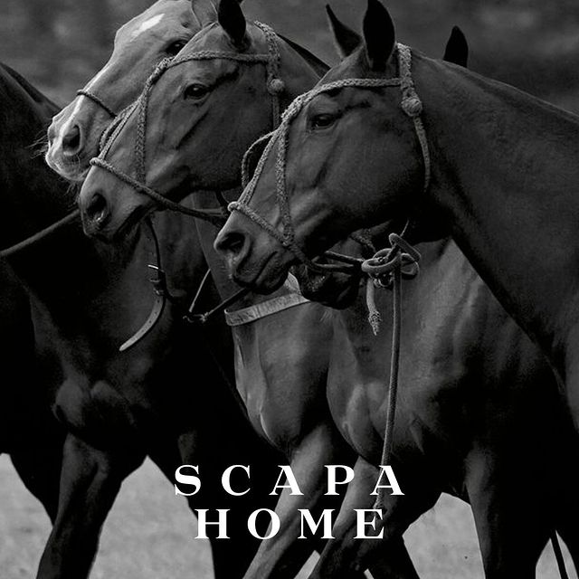 Dynamic beauty. At the core of the SCAPA brand & lifestyle houses a profound admiration for nature, especially the beauty of the majestic horse.⁠
⁠
(re-)Discover the iconic SCAPA heritage.⁠
⁠
⁠
#scapa #scapahome #escapetheordinary #furniture #belgiandesign #interior #interiordesign #interiorstyling #designer